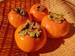 柿の栄養には美容効果が！あんぽ柿や干し柿で栄養は変わるの？